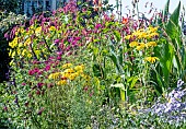 LATE SUMMER BORDER