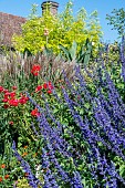 MIXED AUTUMN BORDER