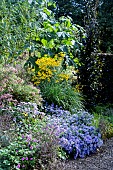 MIXED BORDER