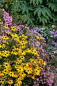 MIXED LATE SUMMER BORDER