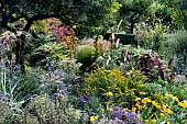 MIXED LATE SUMMER BORDER