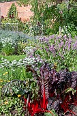 VEGETABLE AND FLOWER GARDEN