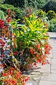 TROPICAL LOOK PLANTERS