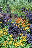 HELENIUMS AND COTINUS