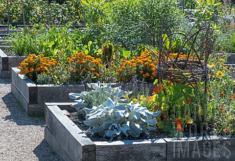 RAISED_MIXED_BEDS_WITH_COMPANION_PLANTING