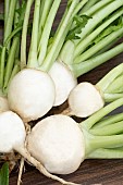JAPANESE TURNIP TOKYO CROSS