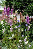 VERTICAL PLANT GARDEN