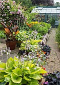 SUMMER GARDEN WITH CONTAINERS