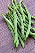 DWARF BEAN TENDERGREEN