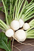JAPANESE TURNIP TOKYO CROSS
