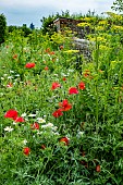 WILD FLOWER GARDEN