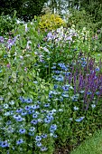 BIENNIAL & PERENNIAL BORDER