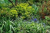 SPRING GARDEN