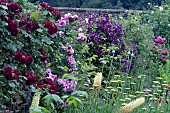 WALL SHRUBS & BORDER