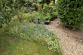 Wildflower border including Corn marigold Glebionis segetum, Common field poppy Papaver rhoeas and Cornflower Centaurea cyanus, Suffolk, England, UK