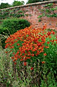 HELENIUM MOERHEIM BEAUTY