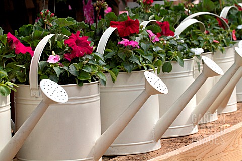 WATERING_CANS