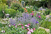 PAEONIA,  NEPETA,  PAPAVER, ROSA. DESIGN: MARIANNE AND DETLEF LUEDKE