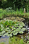 GARDEN POND WITH WATER LILIES. DESIGN: MARIANNE AND DETLEF LUEDKE