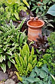 HOSTA, ASPLENIUM SCOLOPENDRIUM,HEUCHERA WITH BIRD BATH. DESIGN: MARIANNE AND DETLEF LUEDKE