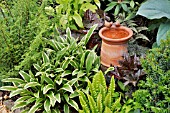 HOSTA, ASPLENIUM SCOLOPENDRIUM, HEUCHERA WITH BIRD BATH. DESIGN: MARIANNE AND DETLEF LUEDKE