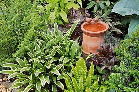 HOSTA_ASPLENIUM_SCOLOPENDRIUM_HEUCHERA_WITH_BIRD_BATH_DESIGN_MARIANNE_AND_DETLEF_LUEDKE