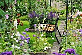 CAMPANULA DIGITALIS AND SALVIA