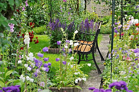 CAMPANULA_DIGITALIS_AND_SALVIA