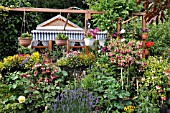 ALLOTMENT GARDEN WITH FUCHSIAS