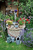 FUCHSIA,  NEMESIA,  PETUNIA, LOBELIA, LAVANDULA  IN A BACKYARD GARDEN. DESIGN: JUTTA WAHREN