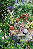 LOBELIA, FUCHSIA,  NEMESIA,  PETUNIA, IN A BACKYARD GARDEN. DESIGN: JUTTA WAHREN