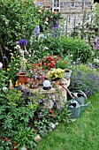 PERENNIAL BED AND ANNUAL PLANTS IN A BACKYARD GARDEN. DESIGN: JUTTA WAHREN