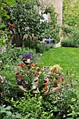 PERENNIAL BED AND ANNUAL PLANTS IN A BACKYARD GARDEN. DESIGN: JUTTA WAHREN