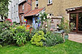 PERENNIAL BORDER AND TERRACE IN A BACKYARD GARDEN. DESIGN: JUTTA WAHREN