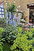 DELPHINIUM ELATUM, ALCHEMILLA IN A BACKYARD GARDEN. DESIGN: JUTTA WAHREN