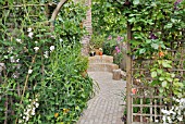 PERENNIAL BED WITH TRELLIS IN A BACKYARD GARDEN. DESIGN: JUTTA WAHREN