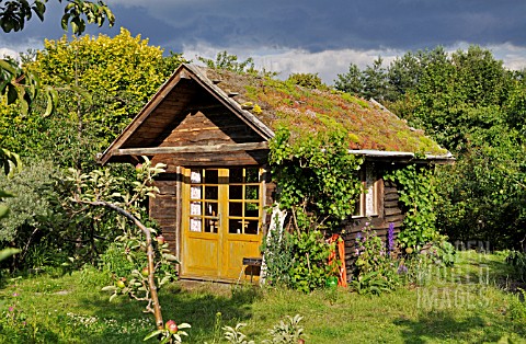 GARDEN_HOUSE_WITH_GREEN_ROOF_IN_A_NATURAL_GARDEN