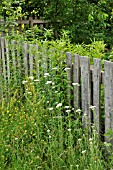 WOODEN GARDEN FENCE