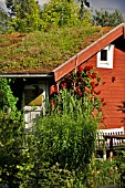 GARDEN HOUSE WITH GREEN ROOF IN A NATURAL GARDEN