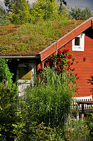 GARDEN_HOUSE_WITH_GREEN_ROOF_IN_A_NATURAL_GARDEN