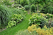 GRASS PATH IN A PERENNIAL GARDEN