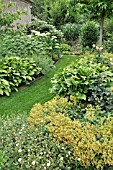 GRASS PATH IN A PERENNIAL GARDEN