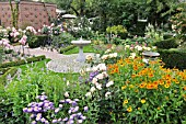 ERIGERON, ROSA AND  HELENIUM IN A ROSE GARDEN