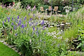 CONSOLIDA AJACIS  LARKSPUR  AT A GARDEN POND. DESIGN: MARIANNE AND DETLEF LUEDKE