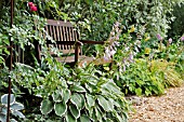 HOSTA  PLANTAIN LILY  BESIDES A GARDEN BENCH. DESIGN: MARIANNE AND DETLEF LUEDKE