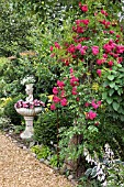 ROSA SUPER EXCELSA  ROSE  WITH PLANTED FOUNTAIN. DESIGN: MARIANNE AND DETLEF LUEDKE