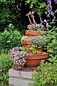 CONTAINER PYRAMID WITH SUCCULENTS