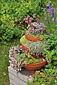 CONTAINER PYRAMID WITH SUCCULENTS. DESIGN: SUSANNA KOMISCHKE