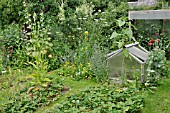 NATURAL GARDEN WITH FRUIT AND VEGETABLE BEDS. DESIGN: SUSANNA KOMISCHKE