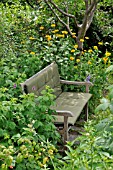 WOODEN BENCH IN A NATURAL GARDEN. DESIGN: SUSANNA KOMISCHKE